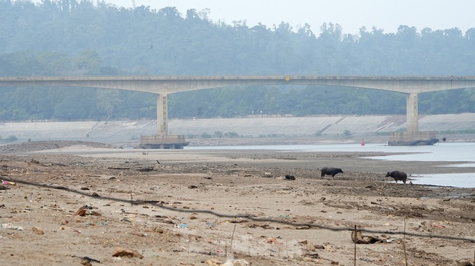 Da River sees record-low water level - 5