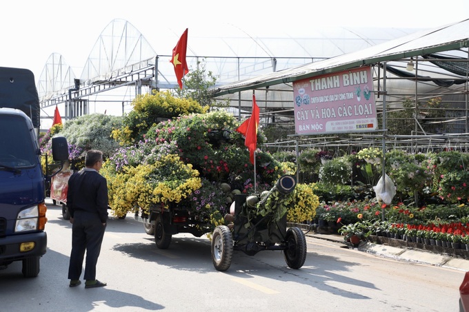 Northern flower village gears up for Tet - 11 Northern flower village gears up for Tet - 11