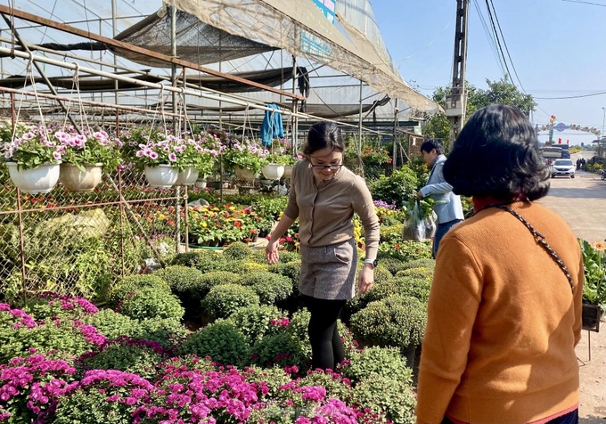 Northern flower village gears up for Tet - 5 Northern flower village gears up for Tet - 5