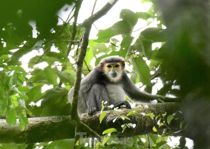 Binh Phuoc National Park reopens - 5