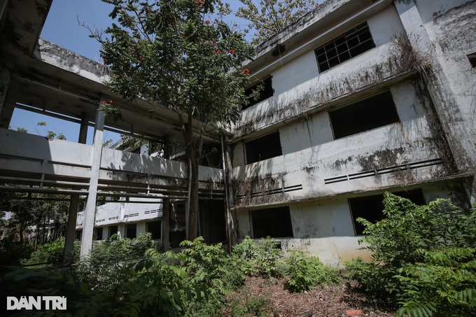 School abandoned for 15 years in HCM City - 2 School abandoned for 15 years in HCM City - 2