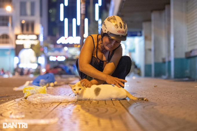 HCM City woman’s love for abandoned cats - 9