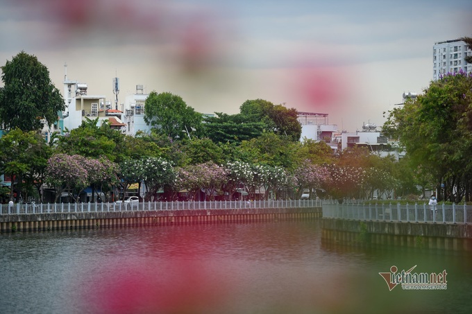 HCM City canal area attracts visitors after being upgraded - 1