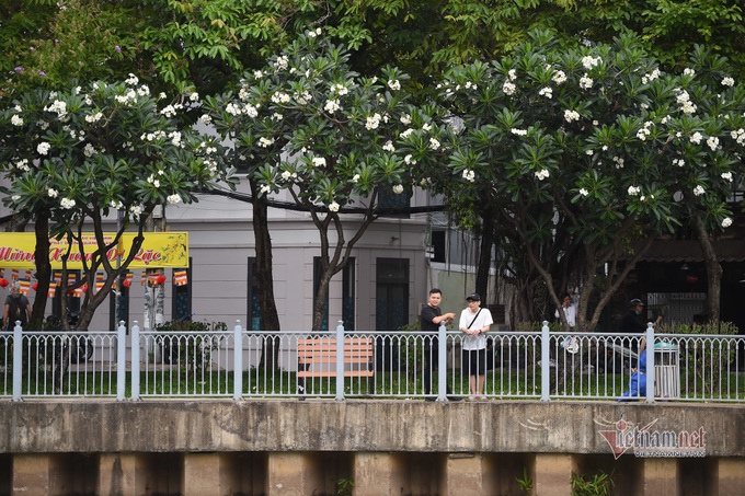 HCM City canal area attracts visitors after being upgraded - 6