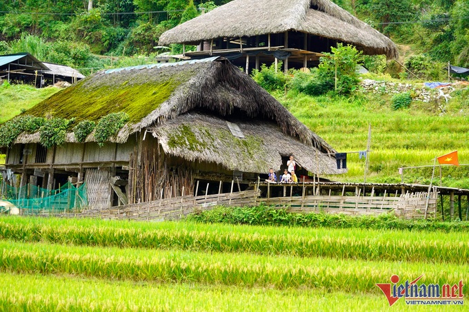 Moss-covered houses on Tay Con Linh Mountain - 2