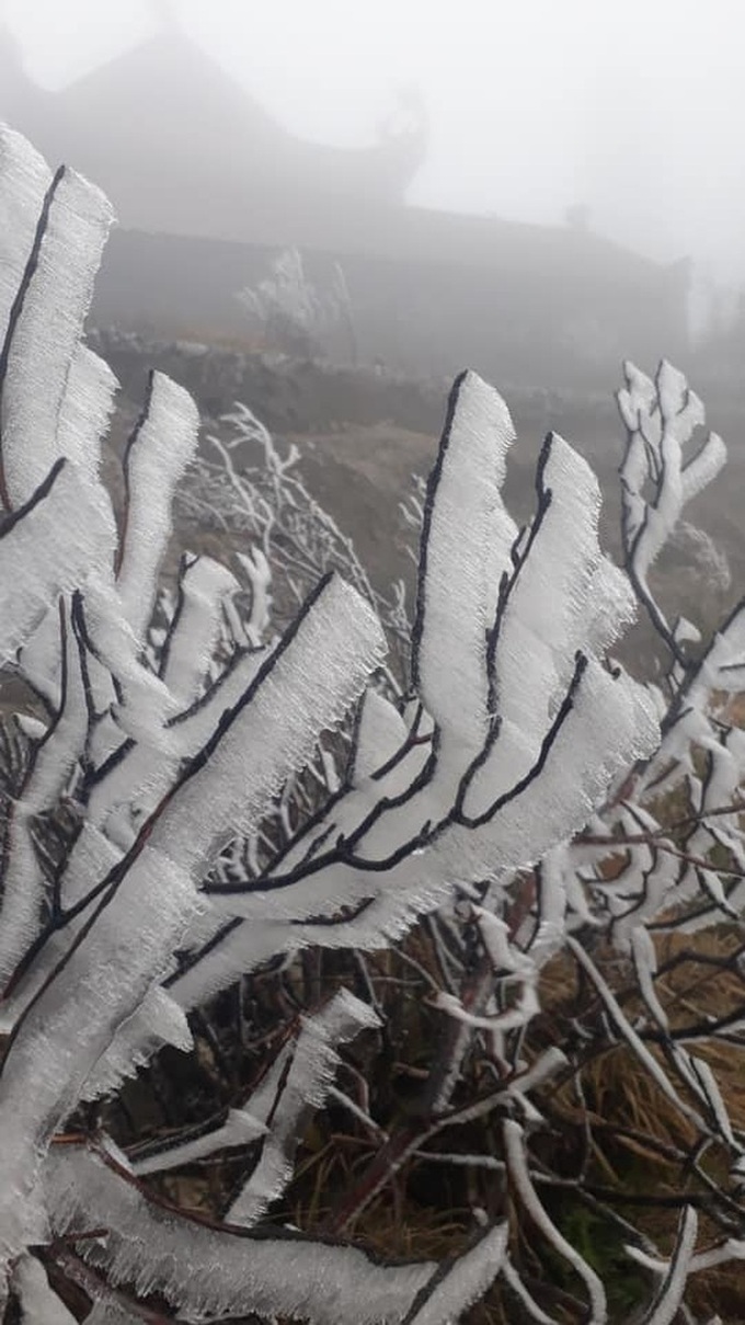 Frosts cover Fansipan Mountain - 7 Frosts cover Fansipan Mountain - 7