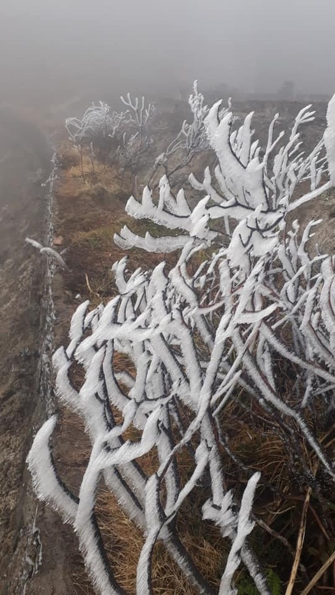 Frosts cover Fansipan Mountain - 6 Frosts cover Fansipan Mountain - 6