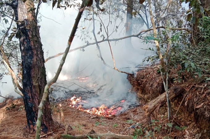 Forest fire occurs in Hanoi’s outskirts - 1