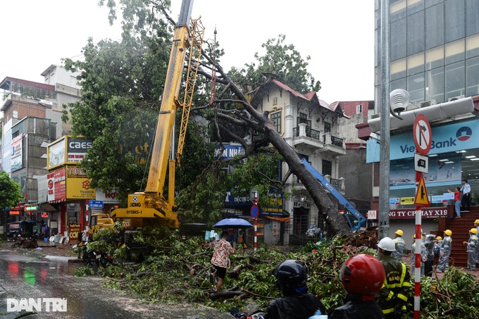 HCM City helps Hanoi to handle typhoon-hit trees - 6