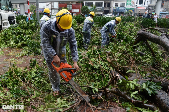 HCM City helps Hanoi to handle typhoon-hit trees - 1