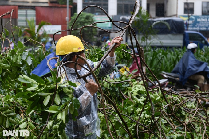 HCM City helps Hanoi to handle typhoon-hit trees - 4