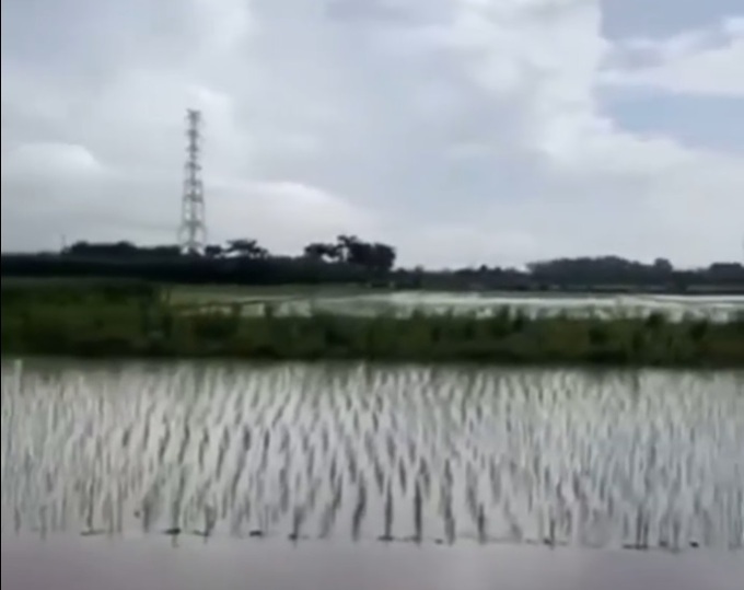 Two people killed in lightning strike - 1