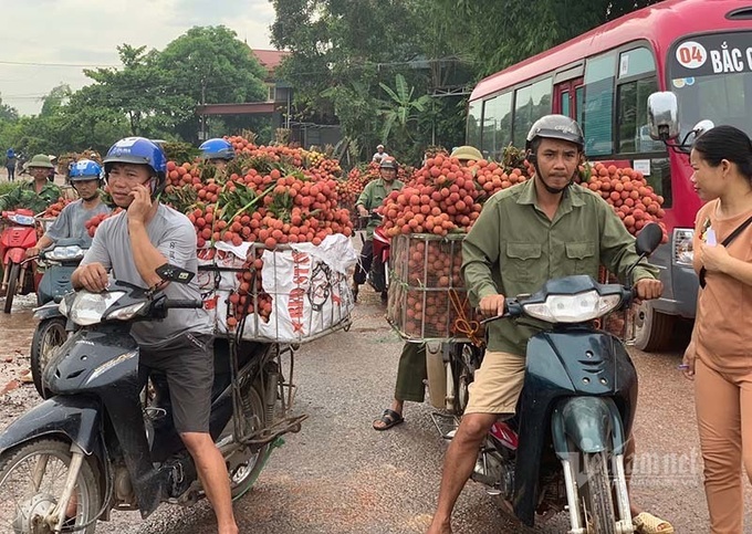 Around 22,000 tonnes of Bac Giang litchi exported to China - 1