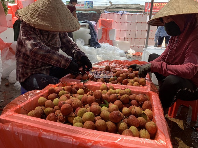 Around 22,000 tonnes of Bac Giang litchi exported to China - 4