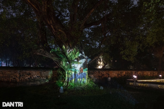 Hanoi launches night tour to Temple of Literature - 5 Hanoi launches night tour to Temple of Literature - 5