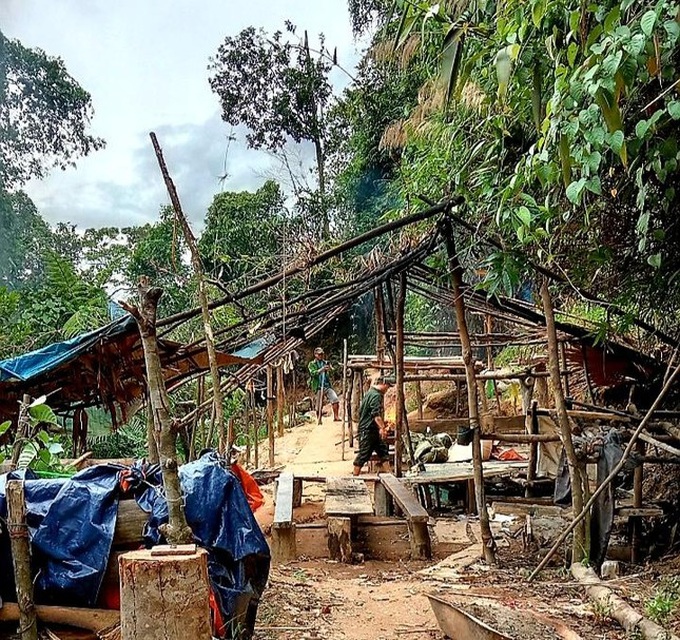 Thua Thien-Hue protective forest destroyed by illegal miners - 1