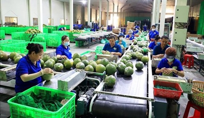 Vietnam’s vegetable export to surpass 1 bln USD by 2030 - 1 Vietnam’s vegetable export to surpass 1 bln USD by 2030 - 1