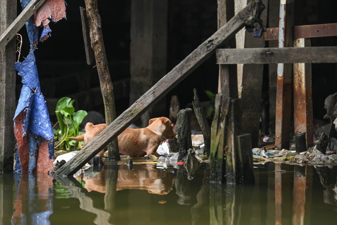 Life in ramshackle houses along HCM City canal - 8