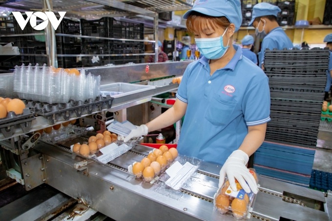 Firms increase prices following petrol price hikes - 1 Firms increase prices following petrol price hikes - 1