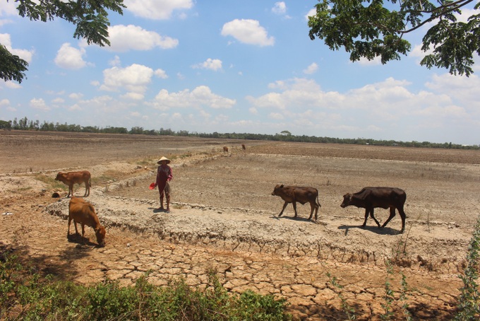 EU supports people affected by drought and saltwater intrusion - 1