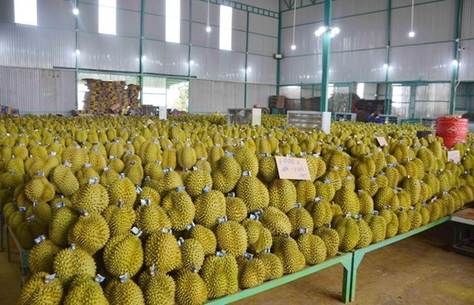 Vietnam’s agricultural products appeal to foreign customers - 1 Vietnam’s agricultural products appeal to foreign customers - 1