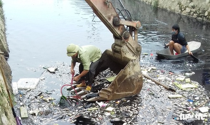 Polluted water kills fish at Vinh Citadel - 1