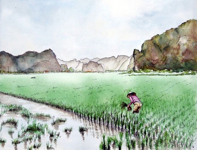 French tourist features Vietnamese beauty through paintings - 4