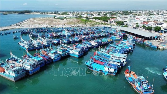 Ministry to tighten inspections at fishing ports - 1 Ministry to tighten inspections at fishing ports - 1