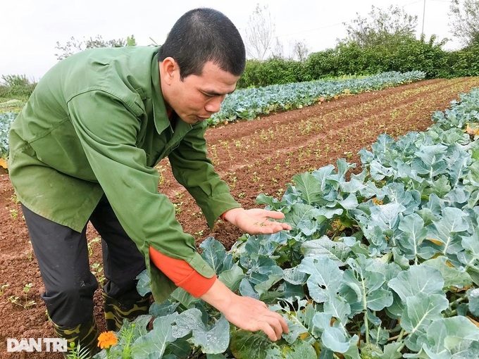 Hanoi couple perservere in organic farming - 3