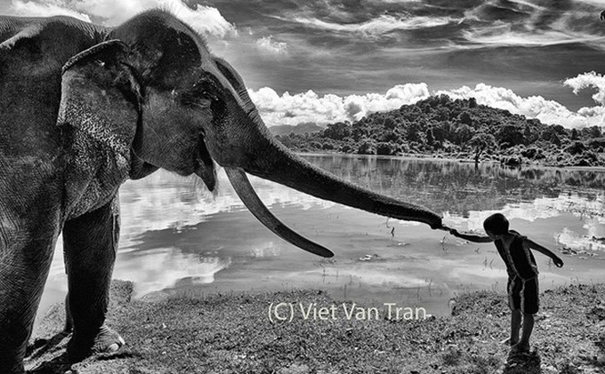 Photographer wins two silvers at New York Photography Awards - 1