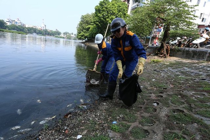 Mass fish deaths in iconic Hanoi lake - 5