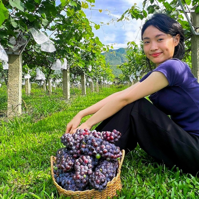 Danang vineyard attracts visitors - 3