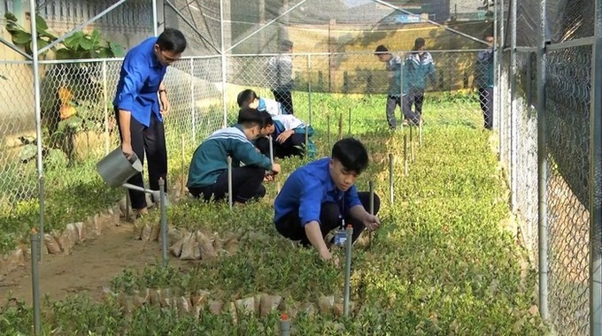 Quảng Trị students gain practical skills through experimental gardens - 1