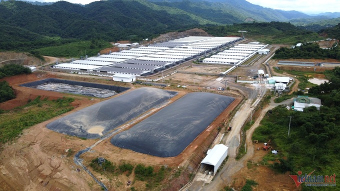 Thousands of Thanh Hoa households suffer pollution from pig farm - 1