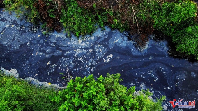 Thanh Hoa pig farm fined for illegal wastewater discharge - 1 Thanh Hoa pig farm fined for illegal wastewater discharge - 1