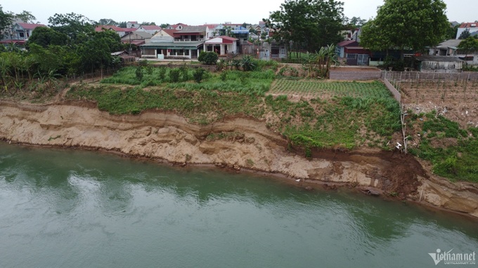 Da River bank faces severe erosion - 1