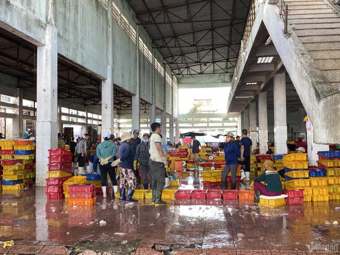 Binh Dinh fish port suffers serious pollution - 1 Binh Dinh fish port suffers serious pollution - 1