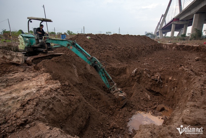 Hanoi farmers replant peaches following devastating storm - 4