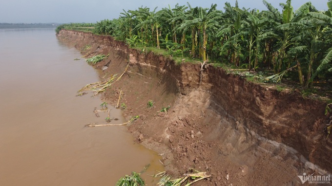 Over 1,000 households in Phu Tho threatened by river erosion - 4 Over 1,000 households in Phu Tho threatened by river erosion - 4