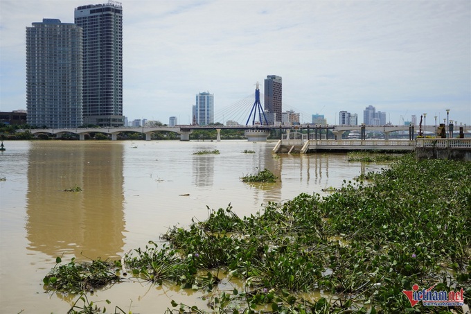 Rubbish blankets Danang beaches after storm - 7