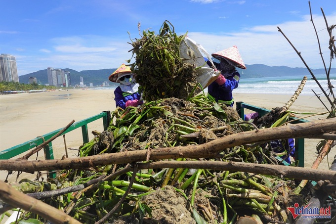 Rubbish blankets Danang beaches after storm - 6