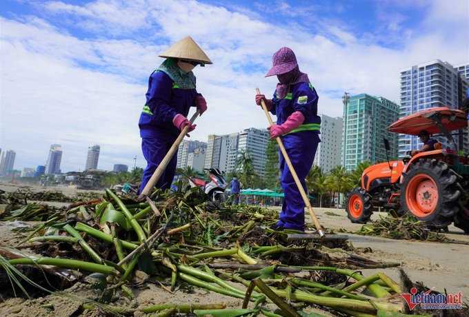 Rubbish blankets Danang beaches after storm - 1