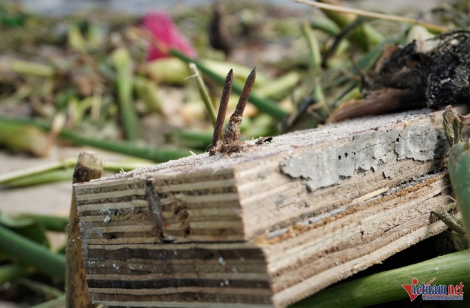 Rubbish blankets Danang beaches after storm - 4