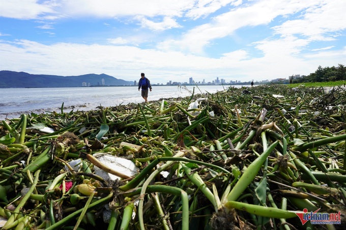 Rubbish blankets Danang beaches after storm - 2