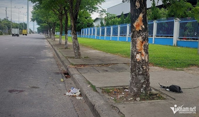 Three die in Danang motorbike accident - 1