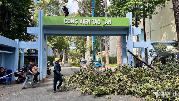 Drones proposed for assessing trees in HCM City - 1