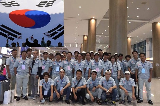 Repatriation flights from South Korea to Vietnam resumed - 1