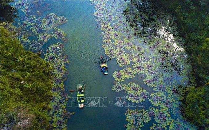 World Wetlands Day 2023 to be observed in Vietnam with various activities - 1 World Wetlands Day 2023 to be observed in Vietnam with various activities - 1