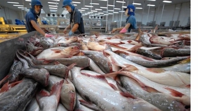 Vietnam becomes second largest supplier of white fish to US - 1