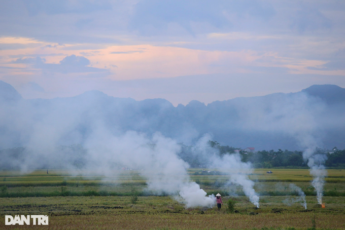 Rice harvesting season in Hanoi - 9